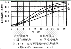 新图片